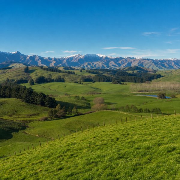 How to Find Out if a Property Has a Restriction on Transfer in New Zealand