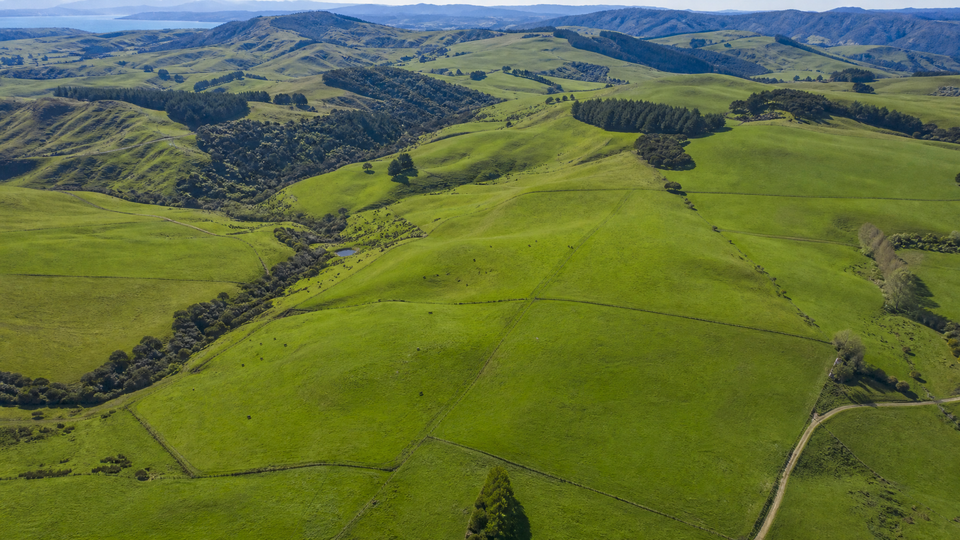 How to Find the Original Certificate of Title in New Zealand