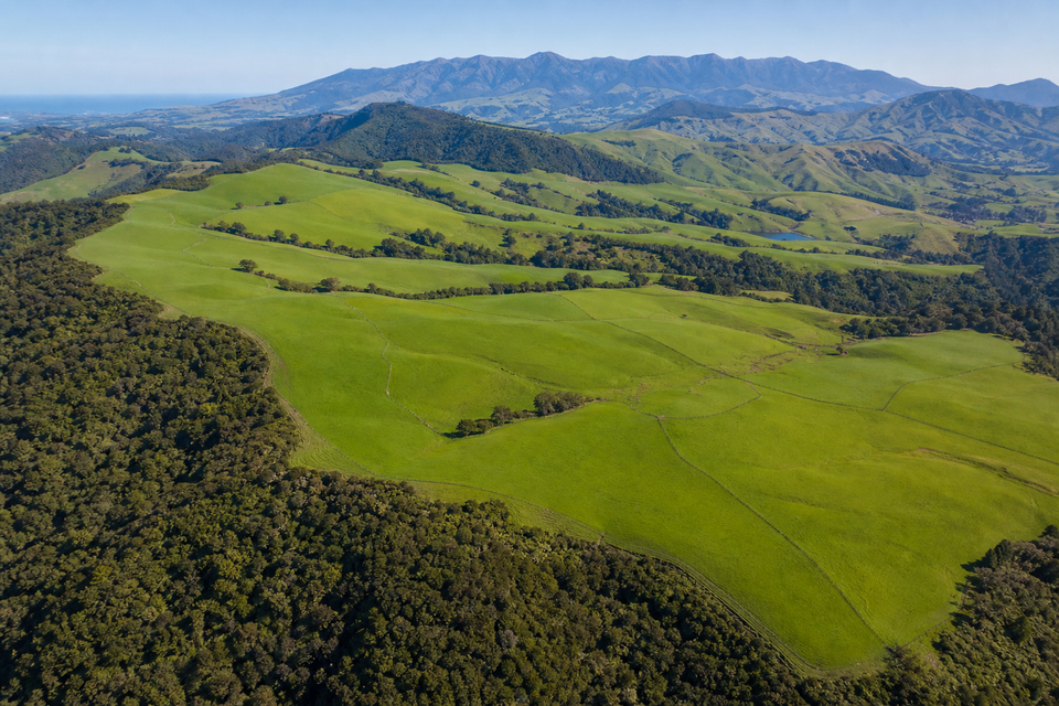 Crown encumbrance on a NZ property title