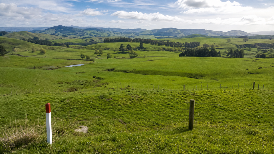 How to Find Out if a Property Has a Designation for Public Works in New Zealand